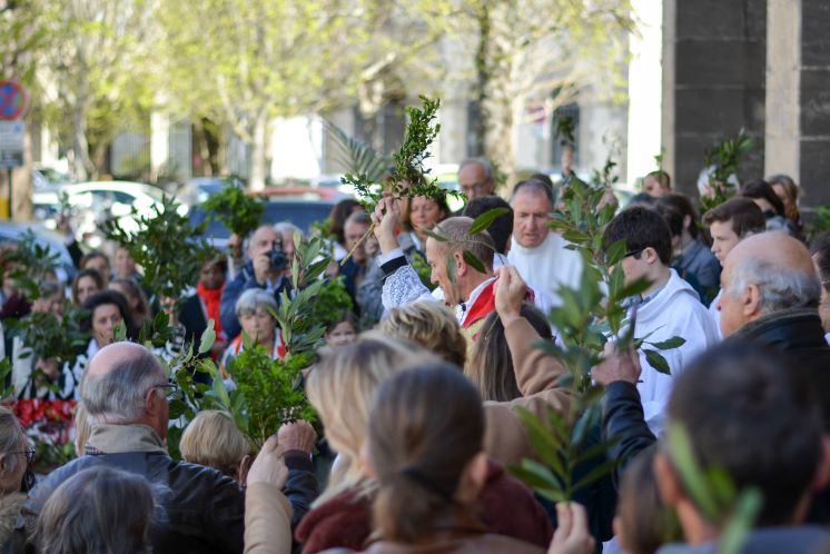 Retour en images sur la fête des Rameaux